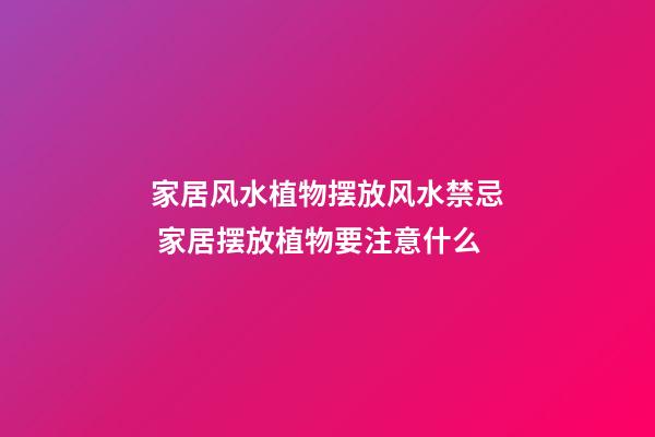 家居风水植物摆放风水禁忌 家居摆放植物要注意什么